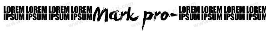 英文字体Mark pro字体转换
